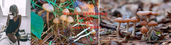 mdma Бронницы