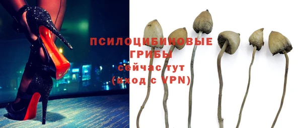 MDMA Бородино