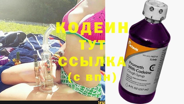 сатива Богданович