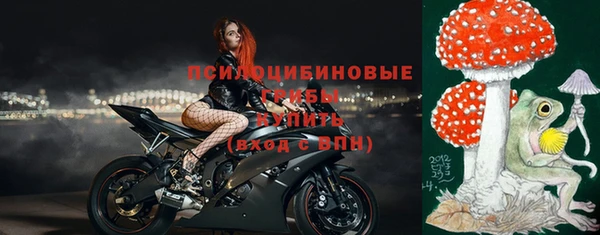 прущий лед Няндома