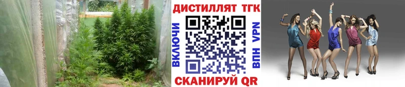 Дистиллят ТГК Wax  где найти наркотики  Вышний Волочёк 